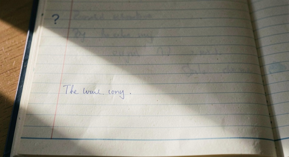 A notebook page ruled into a narrow left column and a wide right column with a horizontal strip at the foot, handwriting in blue ink, a question mark in the margin, daylight falling across the paper from the left.